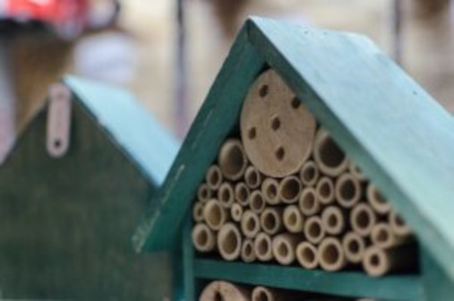 Im Insektenhotel ueberwintern Insekten wie Wildbienen und Hummelkoeniginnen. Bild focusandblur Depositphotos