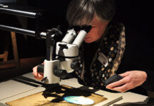 Kleinod oder Trödelkram? Dritter Bestimmungstag im Museum Burg Zug Eine Expertin betrachtet ein kleines Objekt unter dem Mikroskop.