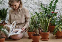 Mit Pinsel und Heckenschere den Garten fit für den Frühling machen Mit Pinsel und Heckenschere den Garten fit fuer den Fruehling machen