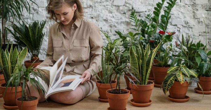 Mit Pinsel und Heckenschere den Garten fit fuer den Fruehling machen