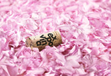 Expovina Primavera feiert seine Rückkehr Expovina Primavera feiert seine Rueckkehr