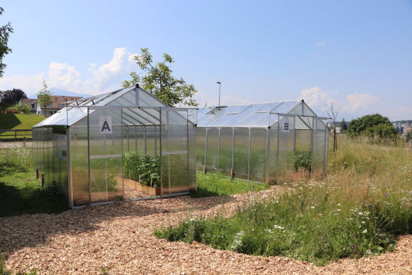 Foto von den zwei Gewächshäusern A und B, vor ihnen ist ein kleiner Garten an der frischen Luft.