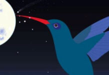 Zuger Bibliotheken greifen nach den Sternen Zuger Bibliotheken