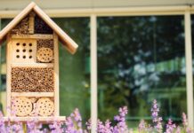 Wie du Hummeln im eigenen Garten unterstützen kannst Wie du Hummeln im eigenen Garten unterstuetzen kannst