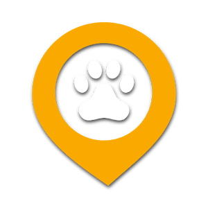 Dog Walk