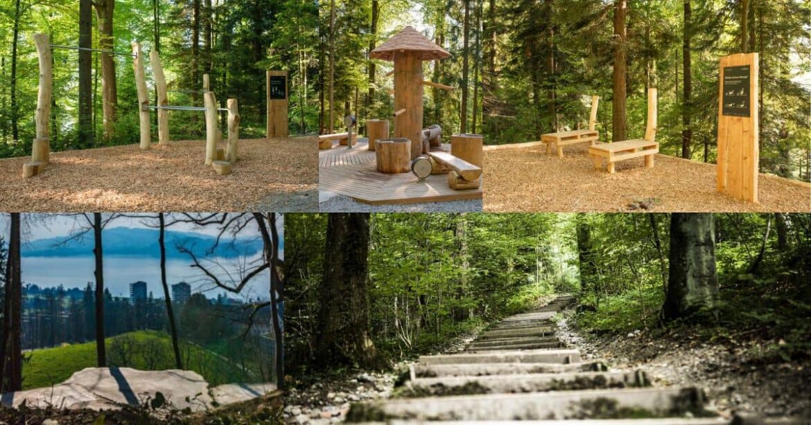 Waldparcour Oberwil Zugsports Vitaparcour