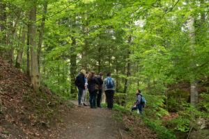 Pflanzenkennerin, Nicole Enzler, im Wald mit Kräuterexkursion