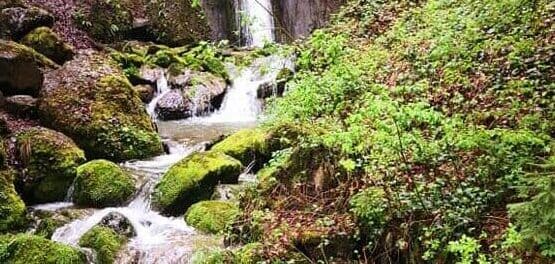 wasserfall-baar wasserfall-baar