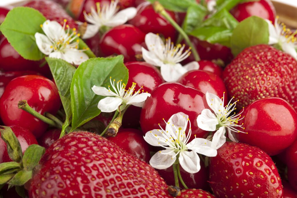 Nahaufnahme von Kirschen und Erdbeeren