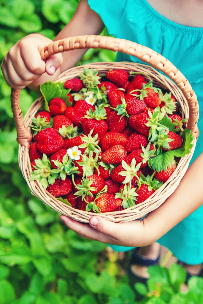 Eine Dame hält einen Korb voller Erdbeeren.