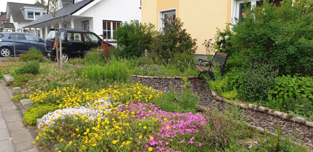 Eine bunte Ruderalfläche ist vor einem Familienhaus. Eine Sitzbank lädt zu einer Pause ein.