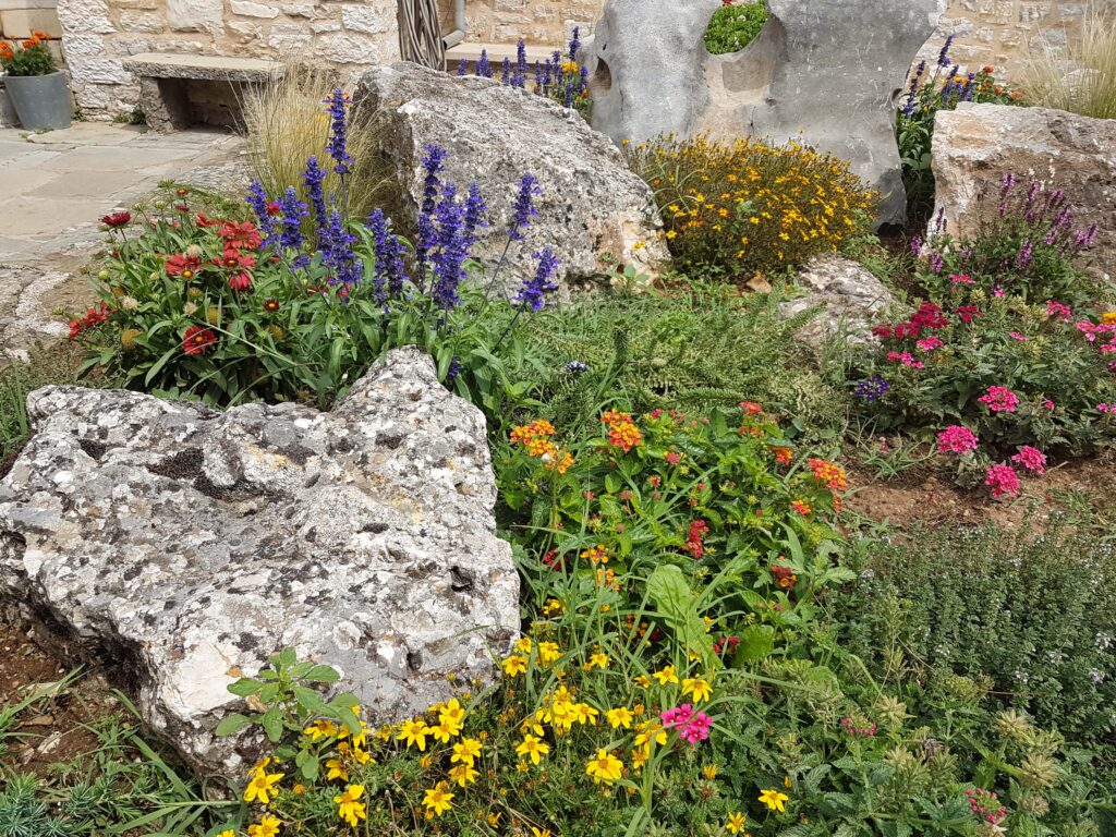 Eine bunte Ruderalfläche mit verschiedenen Blumen und einigen grossen Steinen ist auf dem Foto.
