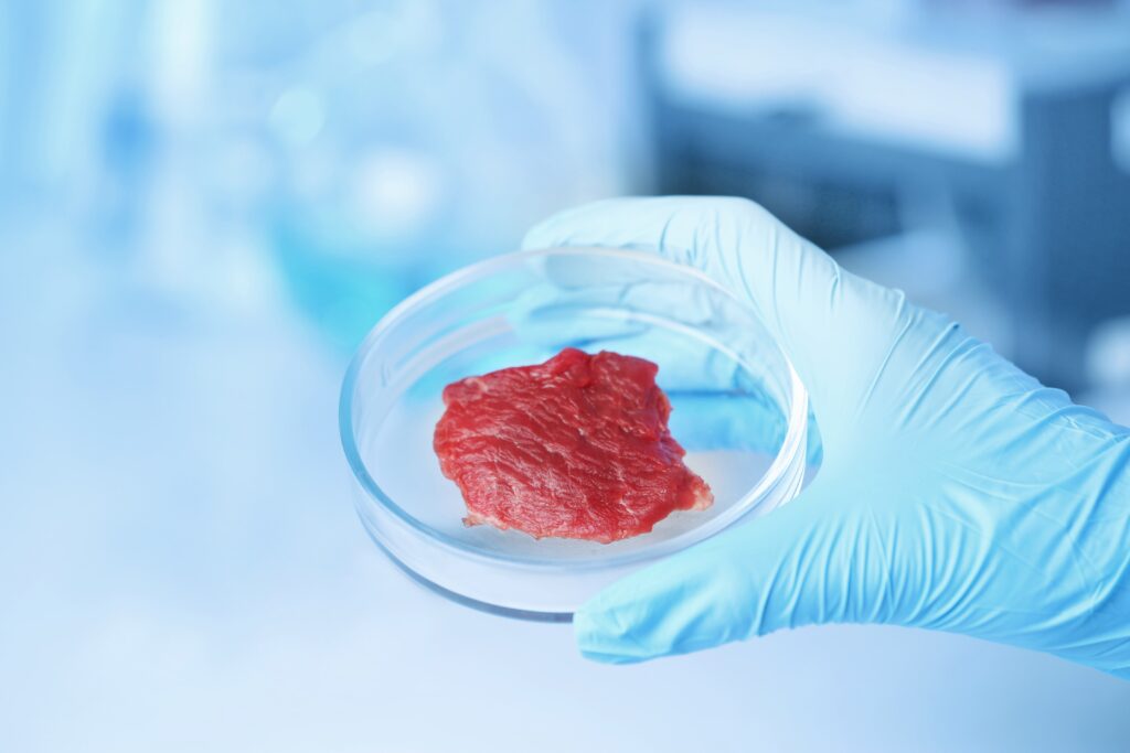 Ein Wissenschaftler hält eine Petrischale mit einem Stück Fleisch.