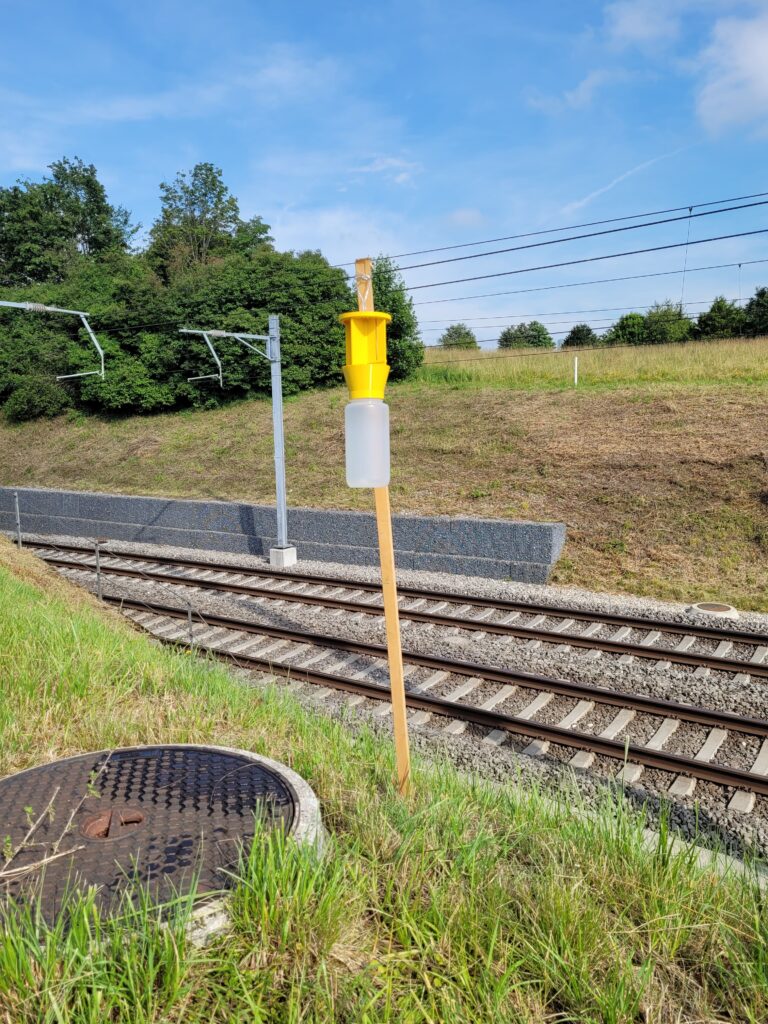 Eine Japankäferfalle ist an einem Mast befestigt.