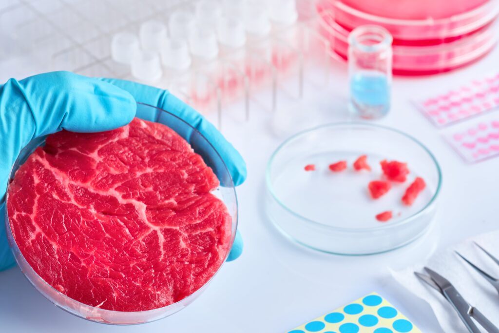 Ein Stück Fleisch liegt in einer Petrischale auf einem Labortisch.