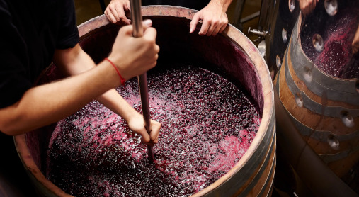 Die Herstellung von Wein