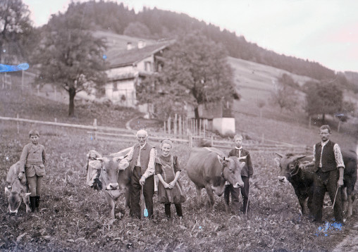 Familie mit Rindern auf ihrem Feld S/W