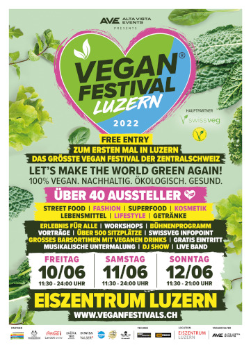 Vegan Festival Flyer