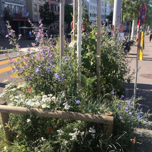 Guerilla Gardening Zürich