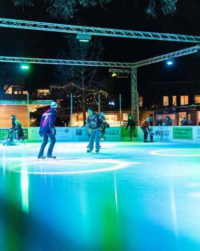 Winterzauber im Birkenwäldli