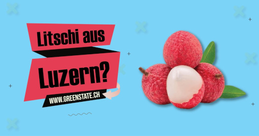 GreenState Werbeplakat Litschis