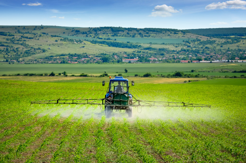 Traktor sprüht Feld