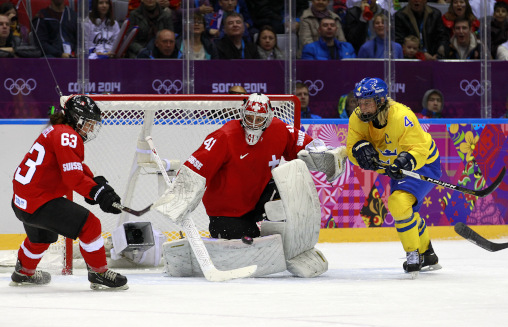 Schelling im Hockeytor Olympia 2014 