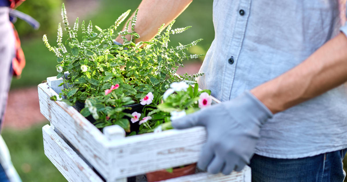 DIY: Erdkühlschrank im Garten 🧊🍾 Wir haben jetzt einen