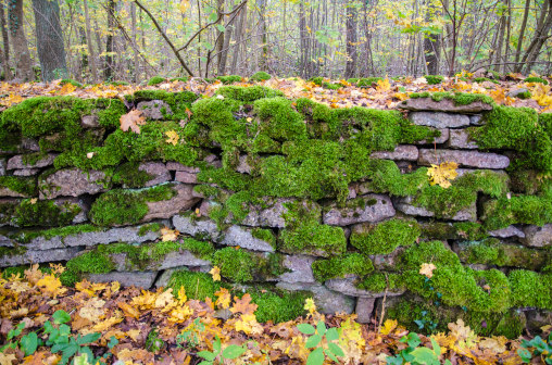 Trockenmauer