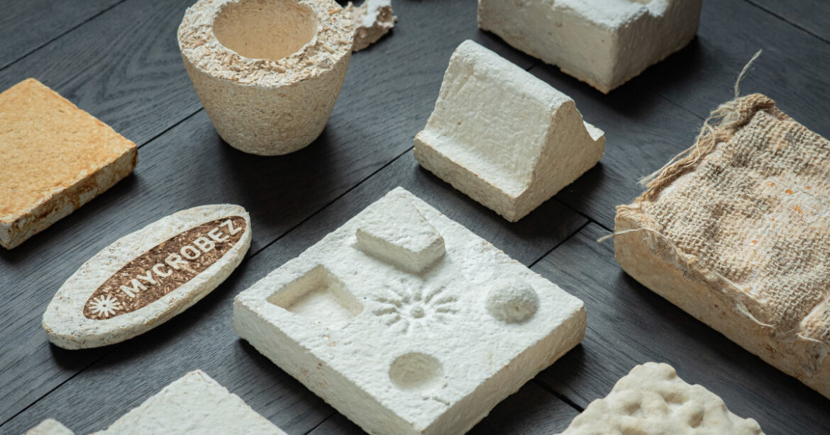 Bioschaumstoff in verschiedenen Formen