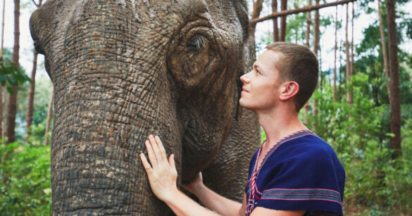 Ein junger Mann berührt einen Elefanten am Rüssel und Mund