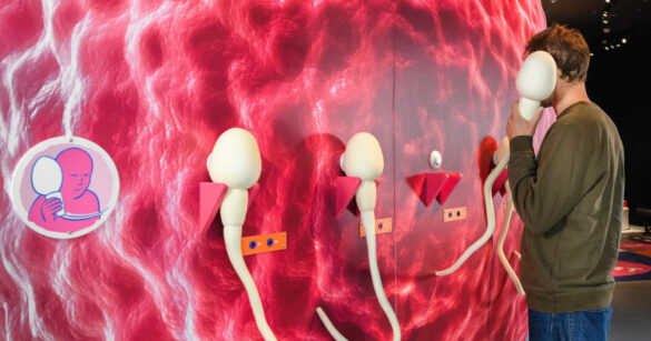 Ausstellung «Baby im Kopf»