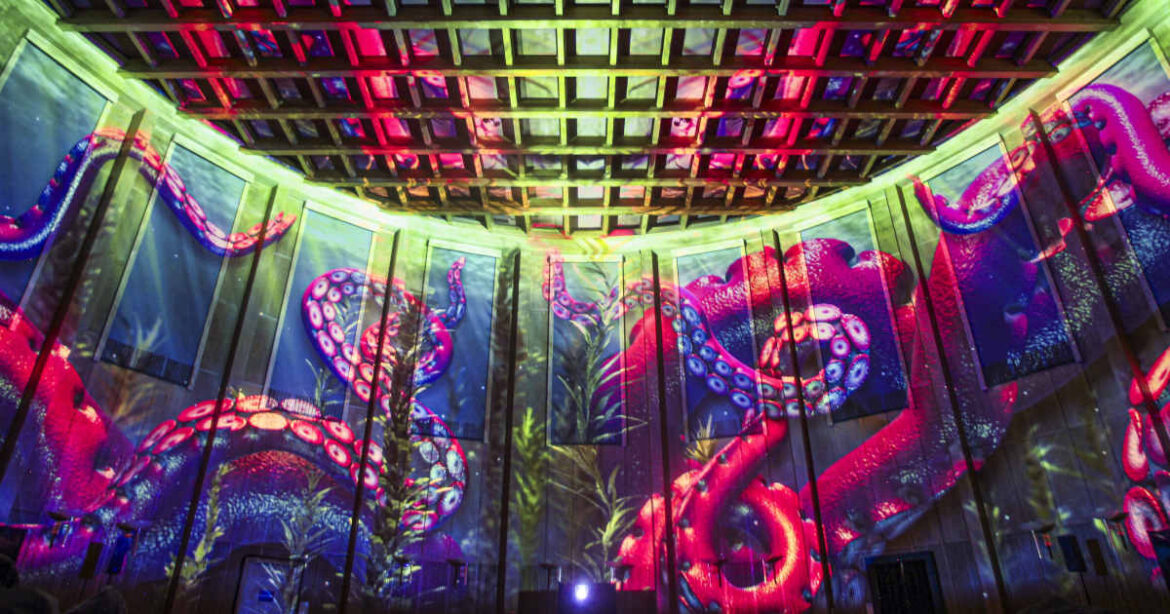 Farbige Tentakel auf Wand projiziert, immersive Kunst