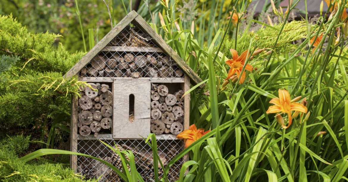 Insektenhaus im dicht bewachsenen Garten