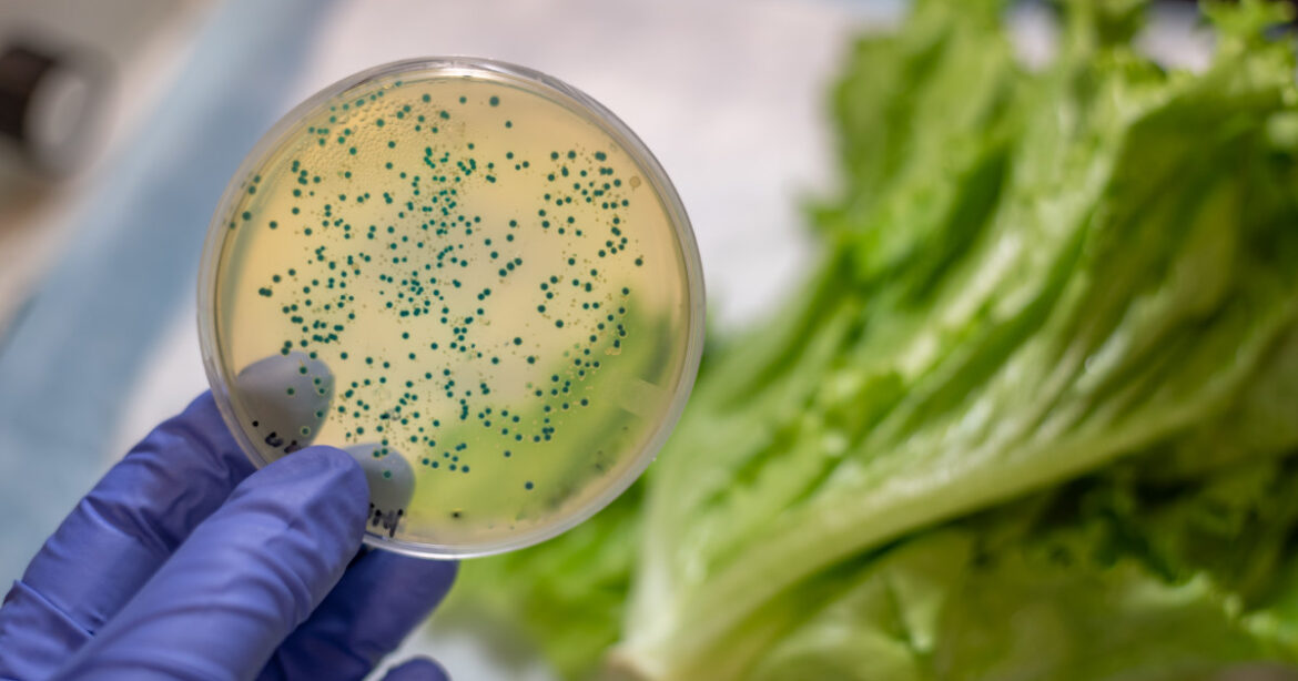 Petrischale im Labor