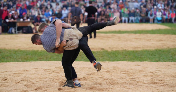 Zwei Schwinger im Zweikampf