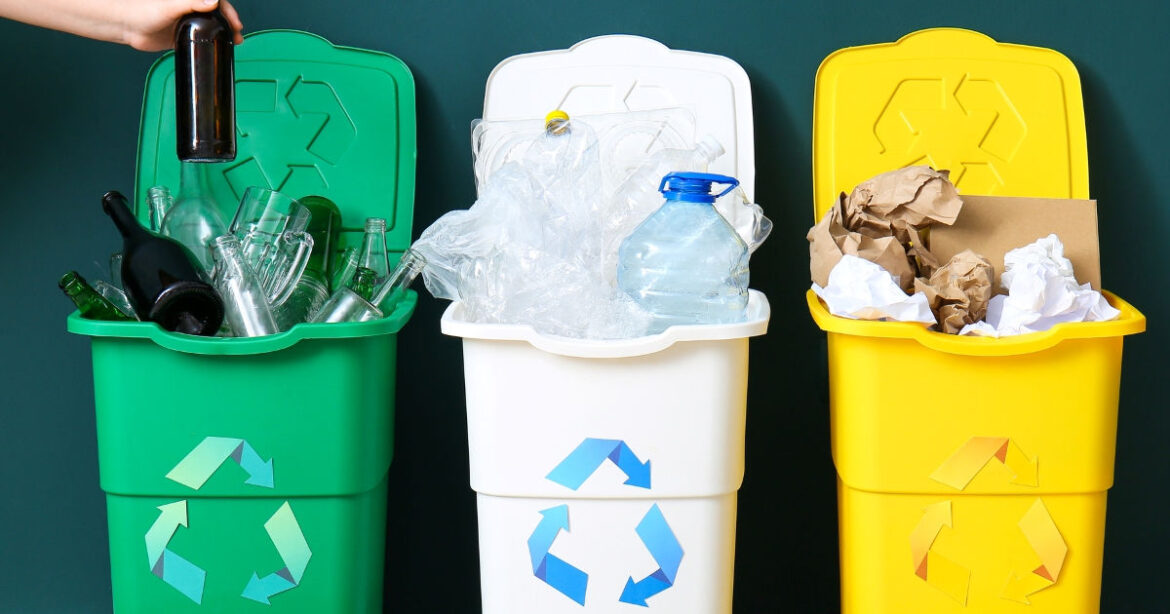 Mülltonnen stehen mit offenem Deckel da, Glasflasche wird in Altglas entsorgt