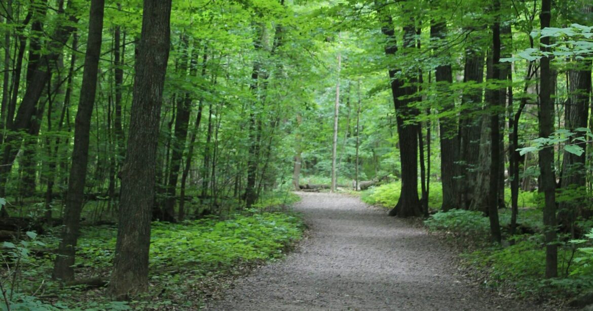 Es zeigt die Möglichkeit, einen schönen Spaziergang zu unternehmen.