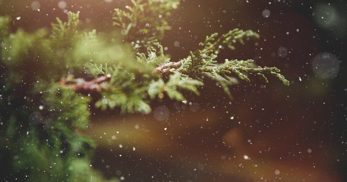 Wintervorbereitung Garten