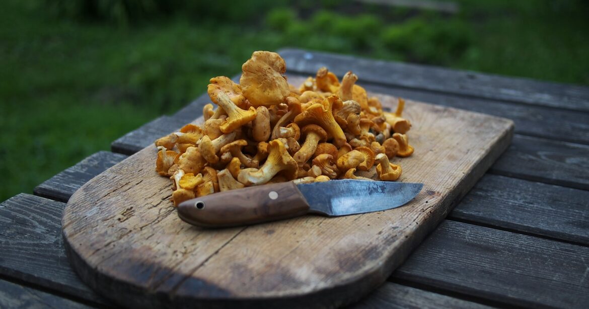Schweizer Pilze Immunsystem stärken