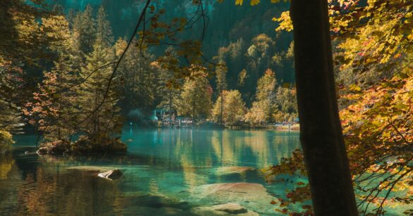 Blausee Berner Oberland: Tipps, Geschichte & Naturwunder