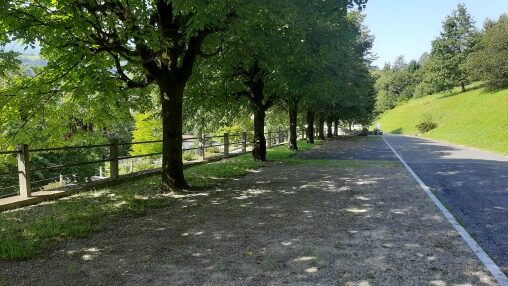 Der entsiegelte Parkplatz beim alten Krematorium Luzern 