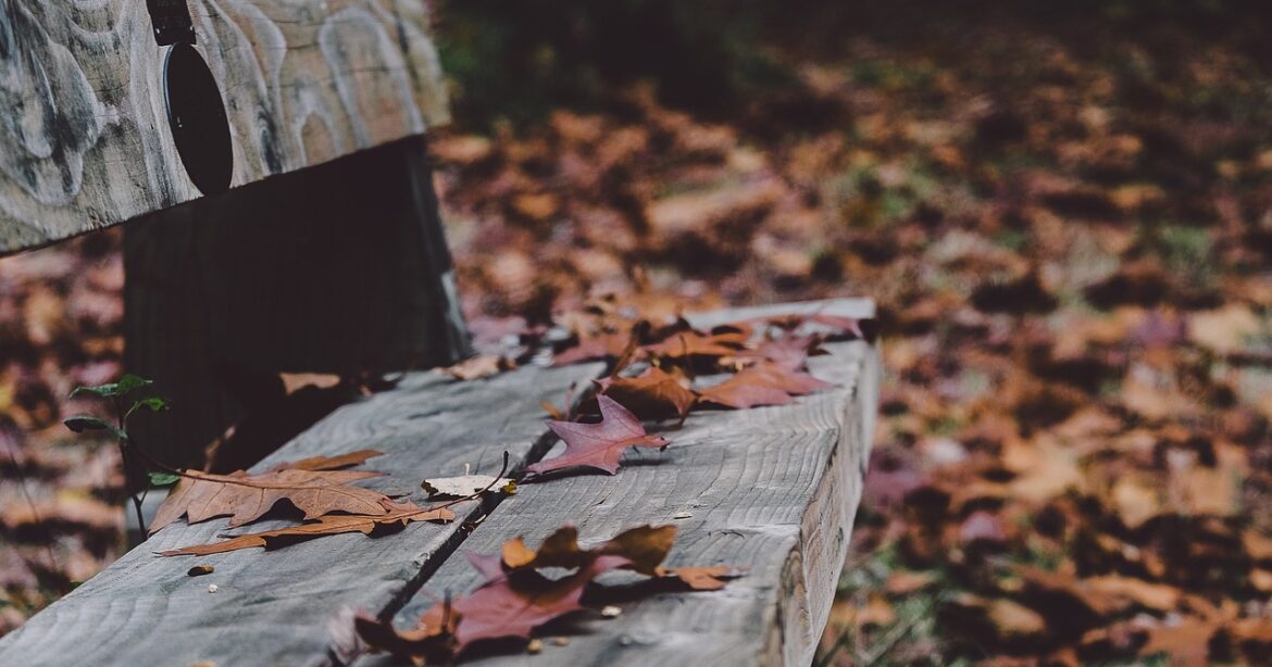 verenaschlucht, bench, fall, autumn