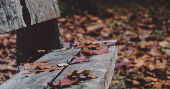 verenaschlucht, bench, fall, autumn