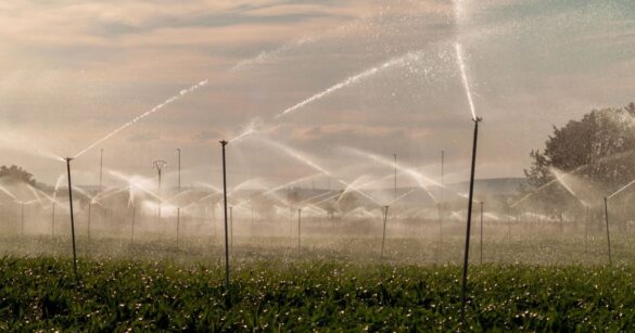 Eine grosse Sprinkleranlage über einem landwirtschaftlichen Feld.