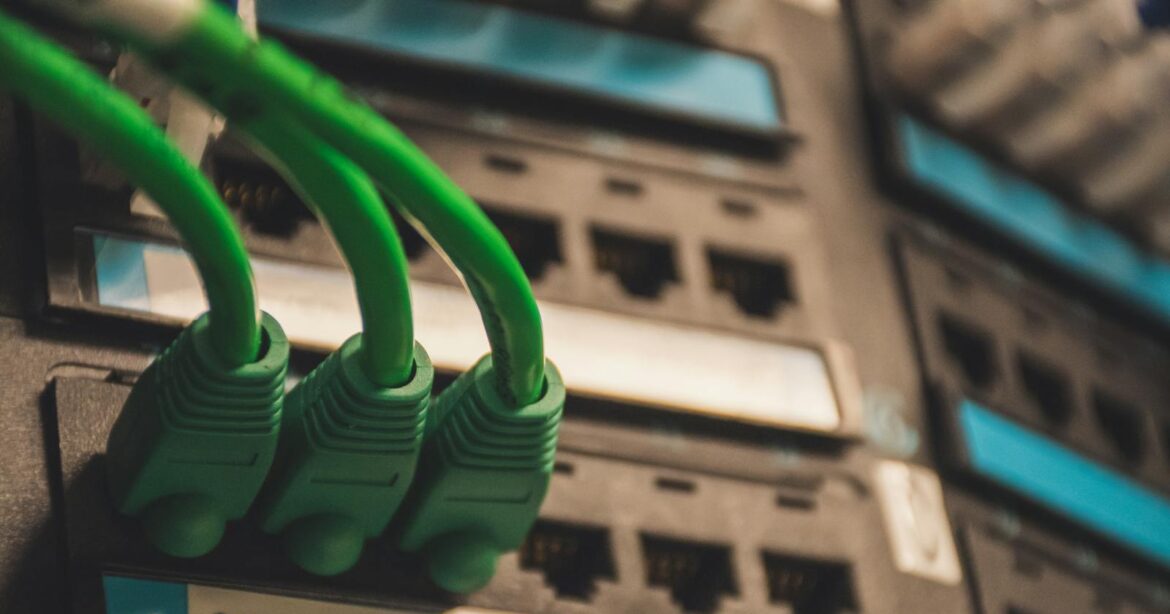 digitalinnovationen, Close-up of green network cables plugged into server ports, showcasing technology setup.