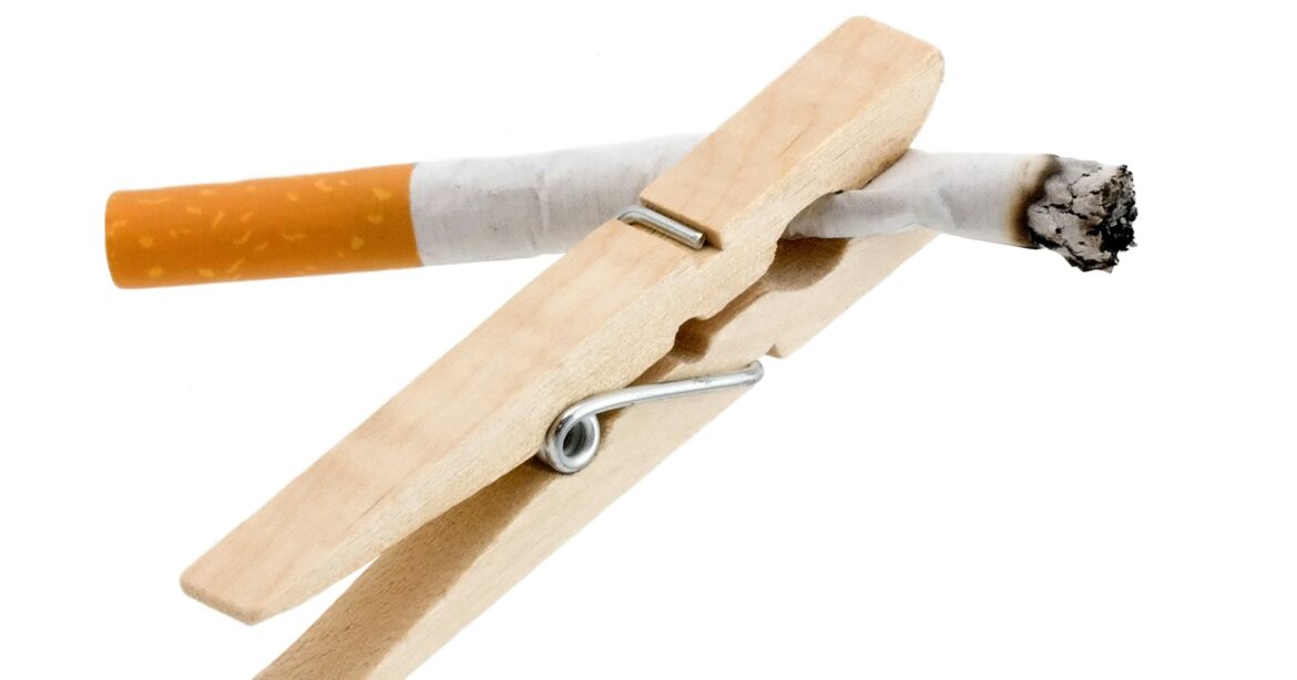 nachhaltig rauchen, A wooden cigarette holder with a cigarette in it