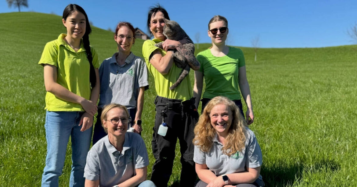 Gruppenfoto der Tierpflegerinnen im Tierheim Allenwinden vor einem sonnigen Hügel