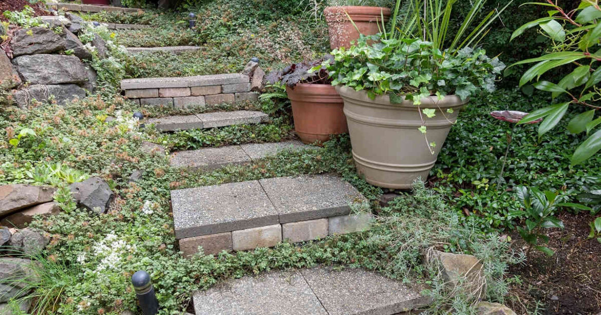 Treppe im Garten im Steinstufen, viele grüne Pflanzen