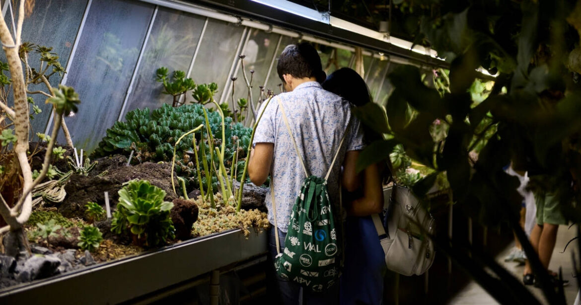 BesucherInnen an der Langen Nacht der Zürcher Museen